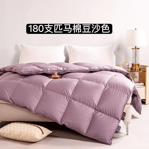 2026新款 华联定制 充绒 新国标 180支匹马棉鹅绒冬被 商品图3
