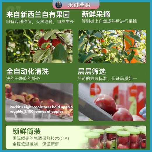新西兰进口乐淇Rockit苹果 商品图5