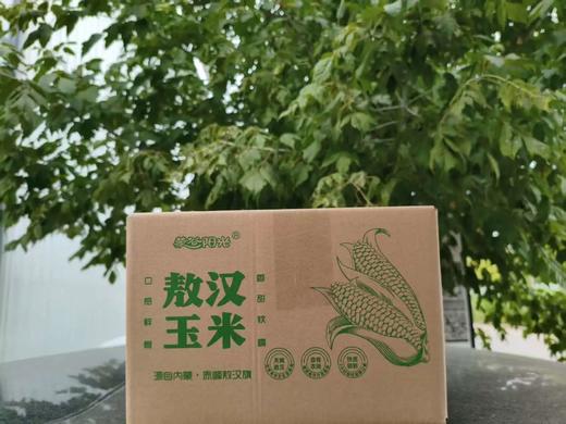 周末福利开团29.9到手10穗，来自内蒙熬汉沙土地生态黑糯玉米比普通玉米好吃N倍 皮薄糯香 细腻无皮渣感 花青素爆棚 1根≈16颗蓝莓基地直邮 商品图4
