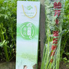 多送半斤 水果口感生熟两吃鲍芹 顺丰快递 商品缩略图9