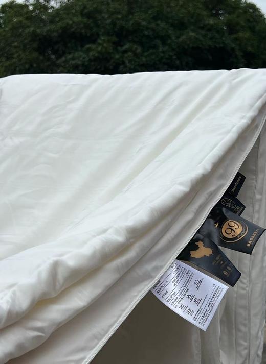 D112937柔软轻盈蚕丝被盖在身上完全没有压迫感 商品图1