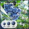云南高山花香蓝莓L25 商品缩略图2