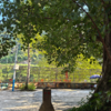 云南·勐景来一日游，寻找中缅第一寨 | 与缅北一步之遥的千年傣寨（景迈山地区上门接送） 商品缩略图4