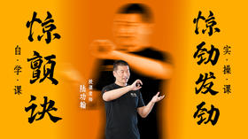 【惊颤诀自学课+惊劲发劲实操课】