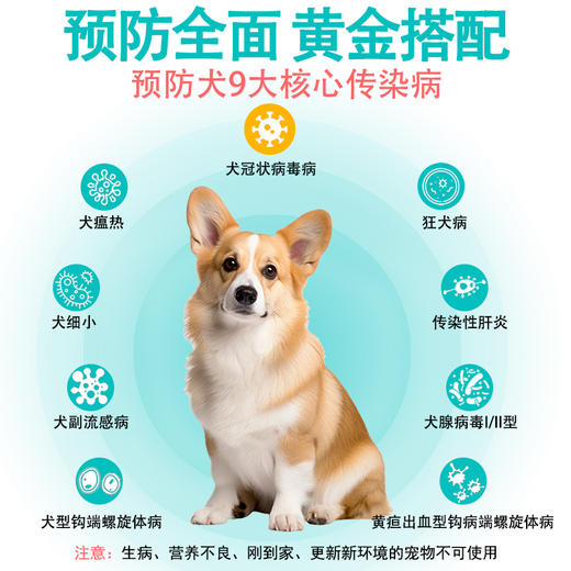 狗狗疫苗英特威四联疫苗幼犬二联小狗疫苗六联成犬宠必威狂犬套餐 商品图3