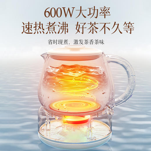 龙力（LONGLI）LL-8627煮茶器/智能调温养生壶304不锈钢保温电水壶1L花茶壶 商品图1