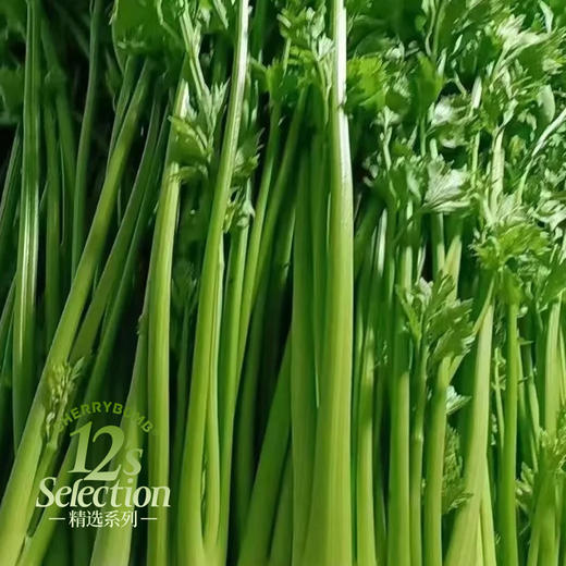 多送半斤 水果口感生熟两吃鲍芹 顺丰快递 商品图7