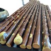 北对节鞭杆武术棍北对节拐棍短棍雀梅鞭杆健身训练棍 商品缩略图2