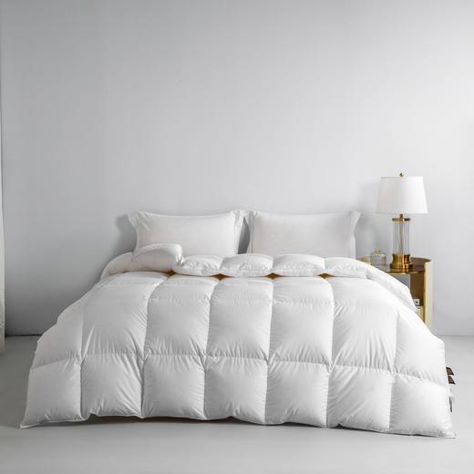 2026新款 华联定制 充绒 新国标 180支匹马棉鹅绒冬被 商品图1