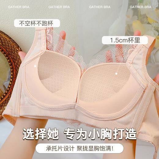 凝露秋霞 文胸(VIP)【小胸聚拢显大不空杯】性感蕾丝收副乳调整型内衣 商品图2