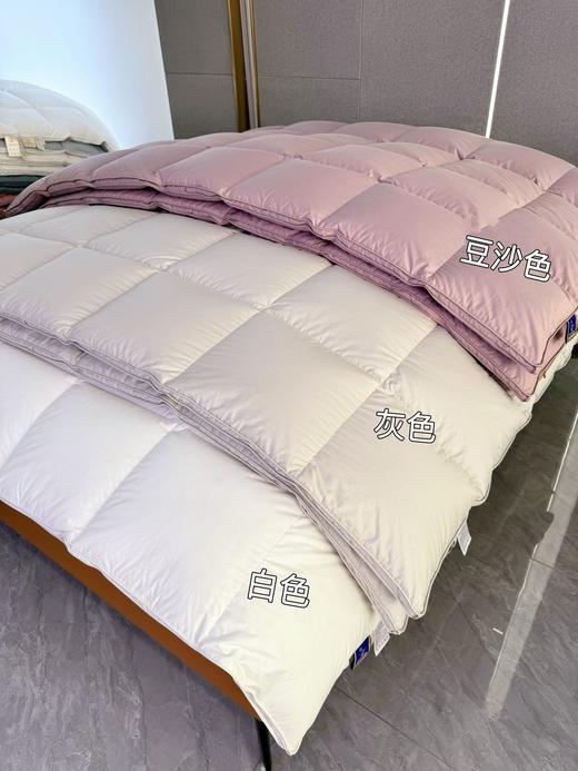 2026新款 华联定制 充绒 新国标 180支匹马棉鹅绒冬被 商品图6