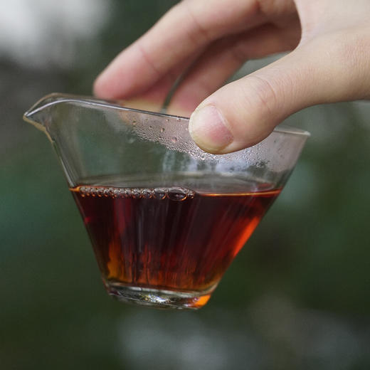 新品// 推荐款 2013年 老肉桂 顺滑平和 武夷山岩茶 仅20斤 商品图0