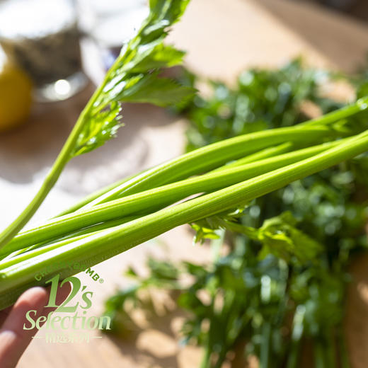 多送半斤 水果口感生熟两吃鲍芹 顺丰快递 商品图4