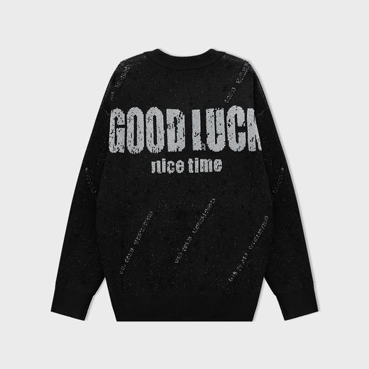 【新品上新】HX 冬季圆领毛衫C107540009101 商品图1