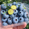 云南高山花香蓝莓L25 商品缩略图4