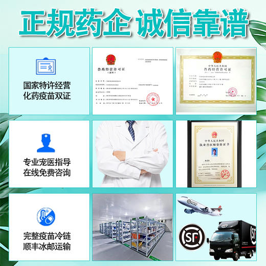 狗狗疫苗英特威四联疫苗幼犬二联小狗疫苗六联成犬宠必威狂犬套餐 商品图4