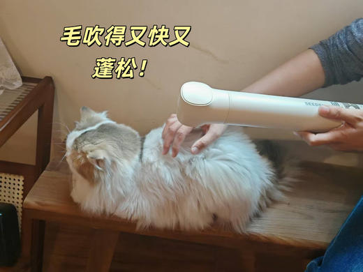 【暖被机+干衣机+宠物吹风机+烘鞋器】 西点高速便携式多功能烘干机XD-8500HB 磁吸风嘴 配宠物毛发风嘴 高速直流电机转速可达12万转/分 超轻便携 3种模式 3档恒温 商品图5