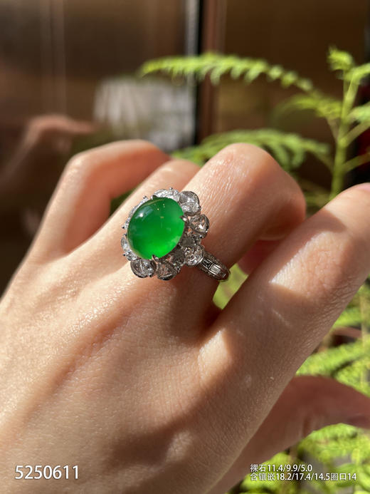 5250611，蛋面戒指。具体价格微信操作 商品图3
