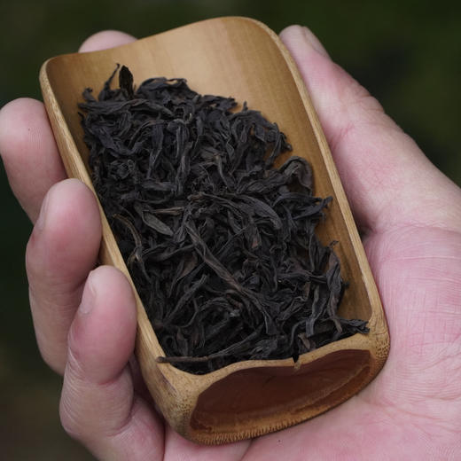 新品// 冲天奇兰 武夷山岩茶 香高锐利 商品图4