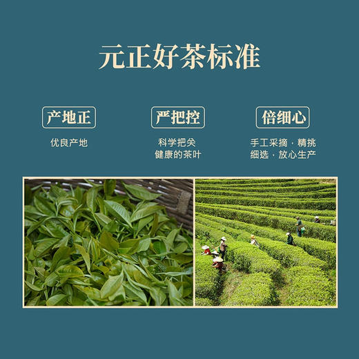 元正 茉莉红茶桂花红茶 正宗茉莉花茶中小叶种工夫红茶口粮茶100g 商品图5
