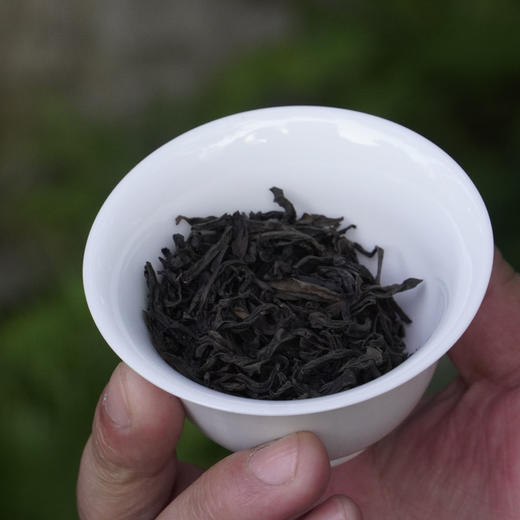 新品// 冲天奇兰 武夷山岩茶 香高锐利 商品图5