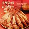 蝶岛海歌特大九节虾干即食烤虾干250g孕妇零食海鲜干货火锅食材源头直发 /粮油调味 /南北干货 /鱼虾贝藻类干货 商品缩略图5