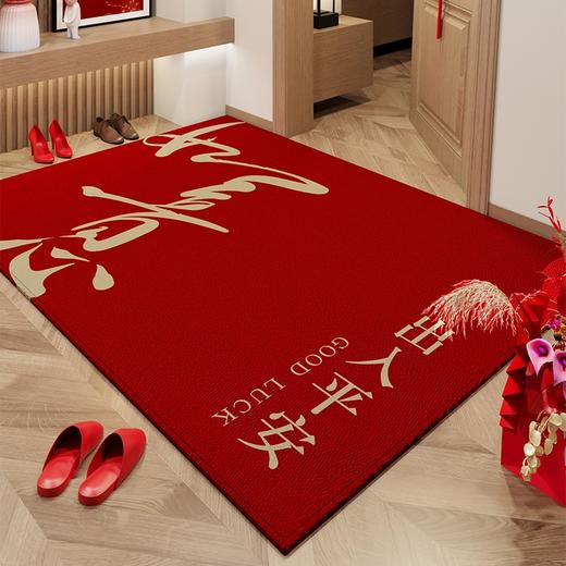 【地垫入户门垫】进门门口玄关地毯 乔迁结婚防滑脚垫可裁剪红色喜庆  商品图7