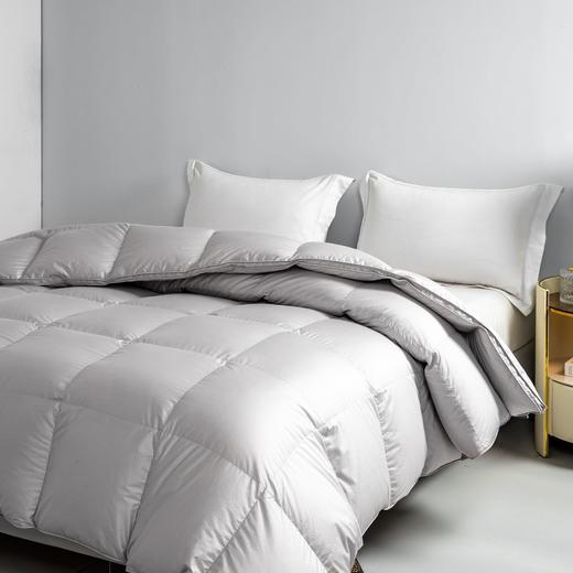 2026新款 华联定制 充绒 新国标 180支匹马棉鹅绒冬被 商品图7