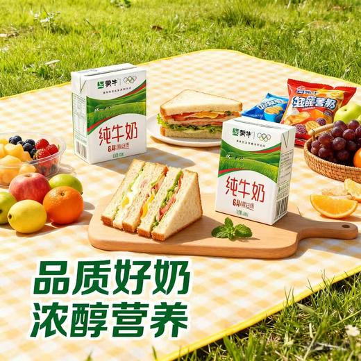 【营养早餐 优质蛋白】蒙牛-纯牛奶 200ml*48盒（2箱） 商品图5
