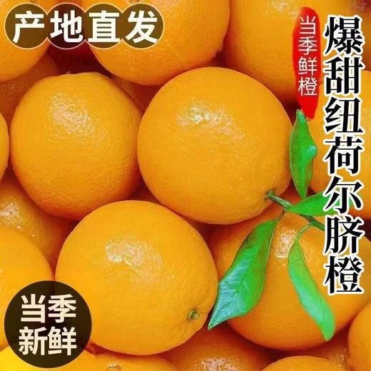 【秒杀❗️19.9抢3斤🔥纽荷尔脐橙子】颗颗甄选果香浓郁，入口多汁爽口，甜蜜美味好滋味❗️新鲜水果非江西赣州赣南当季大果L 商品图0