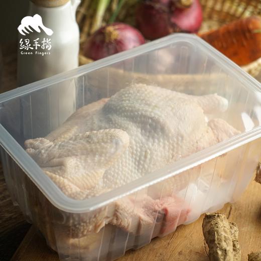 生态冷鲜鸡份额（母鸡，客服打电话确认后发货）| 绿家自产* Eco-Chilled chicken shares | Self-production 商品图2