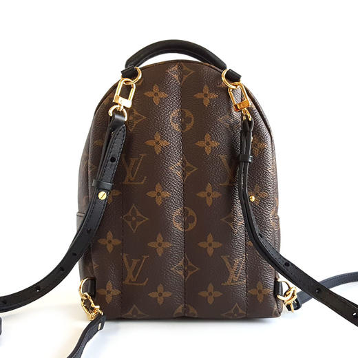 【98新】LV路易威登M44873老花迷你Palm Springs新款小书包双肩包女士281125NJS32 商品图4