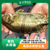 【包邮】有机水库鱼 | 高原水库野生鱼 | 基地直发 商品缩略图0