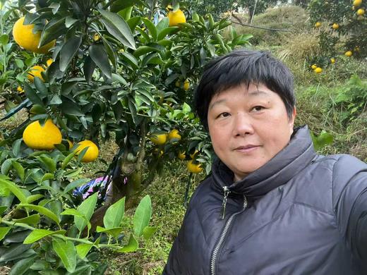 【团购特惠】怀化黄金贡柚，清甜可口，有桔子的香甜和柚子的清爽~，越放越好吃！ 商品图11