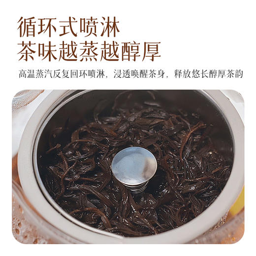 龙力（LONGLI）LL-8627煮茶器/智能调温养生壶304不锈钢保温电水壶1L花茶壶 商品图3