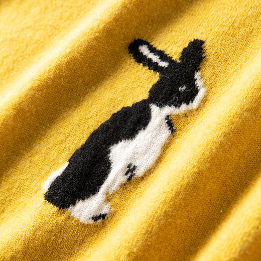 栩栩如生~极简100%山羊绒衫女圆领短袖兔子提花毛衣CYR250470DUAN 商品图4