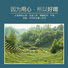 元正 茉莉红茶桂花红茶 正宗茉莉花茶中小叶种工夫红茶口粮茶100g 商品缩略图6