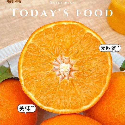 精笃®美柑娘 商品图0