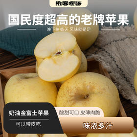 金富士苹果丨皮薄肉脆，酸甜可口，味浓多汁，气温回升到货可能会有粉面情况，⭐️顺丰陆运