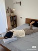 小蓝枕深睡眠记忆枕 商品缩略图6
