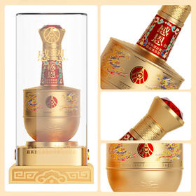 52度五粮液感恩浓香型1*500ML