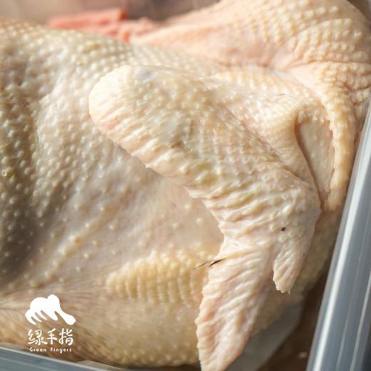 生态冷鲜鸡份额（母鸡，客服打电话确认后发货）| 绿家自产* Eco-Chilled chicken shares | Self-production 商品图4