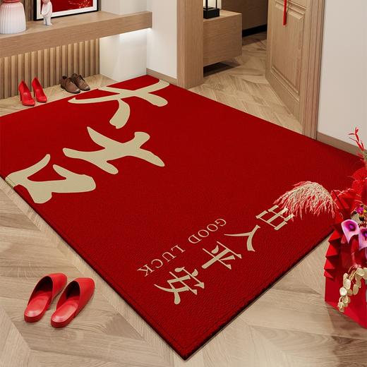 【地垫入户门垫】进门门口玄关地毯 乔迁结婚防滑脚垫可裁剪红色喜庆  商品图11