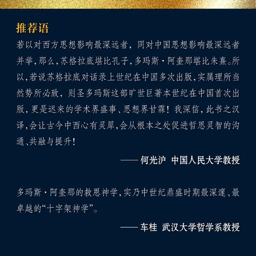 普通版《神学大全》全19册 多玛斯·阿奎那 中文简体 全译本未删减 商品图5