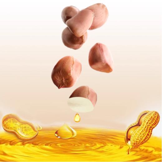 五羊牌 压榨一级花生油5L（2025款） 商品图1