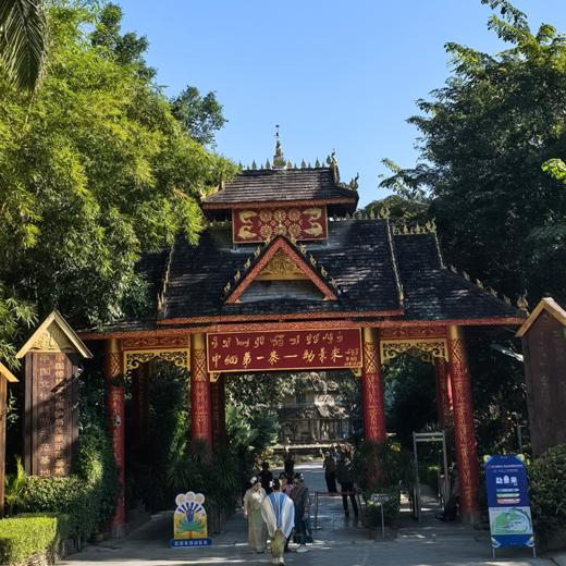 云南·勐景来一日游，寻找中缅第一寨 | 与缅北一步之遥的千年傣寨（景迈山地区上门接送） 商品图2