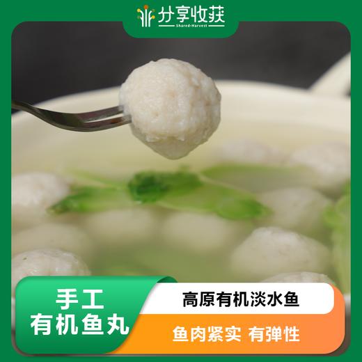 手工有机鱼丸 | 高原有机淡水鱼 | 公平贸易 * Handmade Organic Fish Balls 商品图0