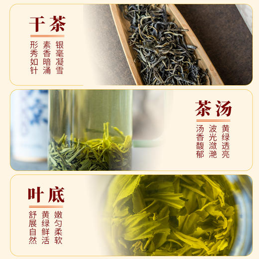 【绿茗】老北京茉莉花茶100g 商品图3