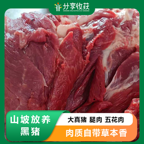 大真猪 腿肉 五花肉 | 山坡放养黑猪 | 公平贸易 * Pork | Fair Trade甘肃新农人-吴龙龙