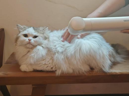 【暖被机+干衣机+宠物吹风机+烘鞋器】 西点高速便携式多功能烘干机XD-8500HB 磁吸风嘴 配宠物毛发风嘴 高速直流电机转速可达12万转/分 超轻便携 3种模式 3档恒温 商品图4